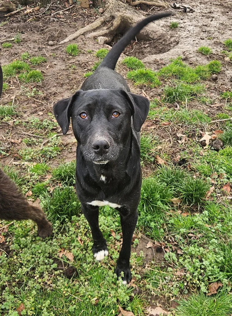 Josie Hanna thumbnail 5