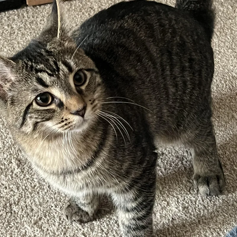 Luke And Emily thumbnail 2