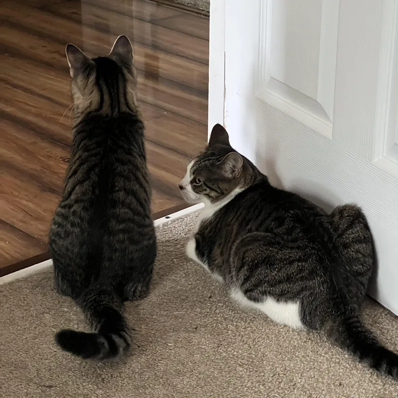 Luke And Emily thumbnail 3