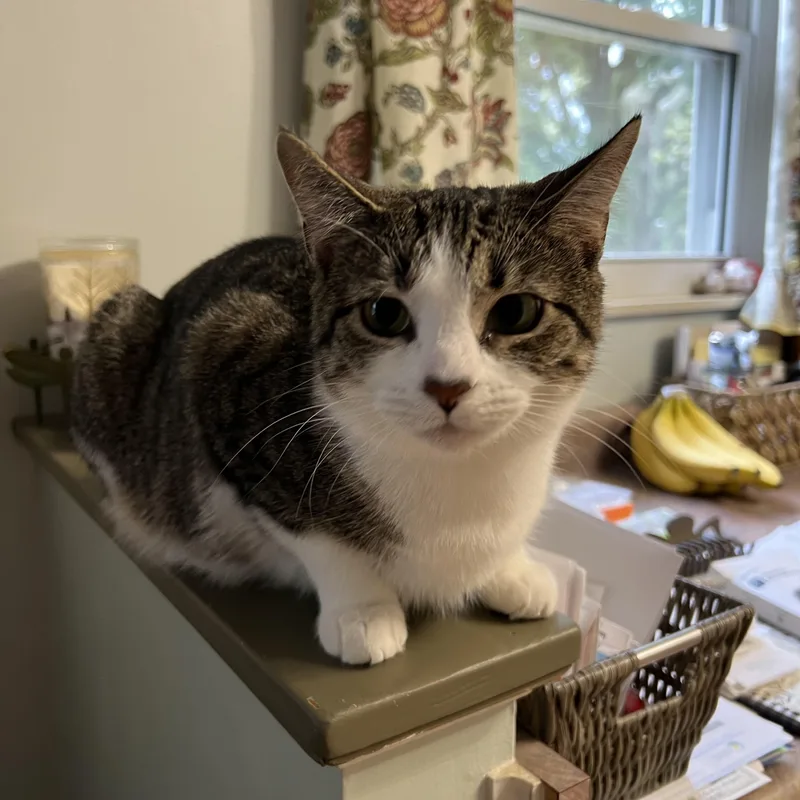 Luke And Emily thumbnail 4