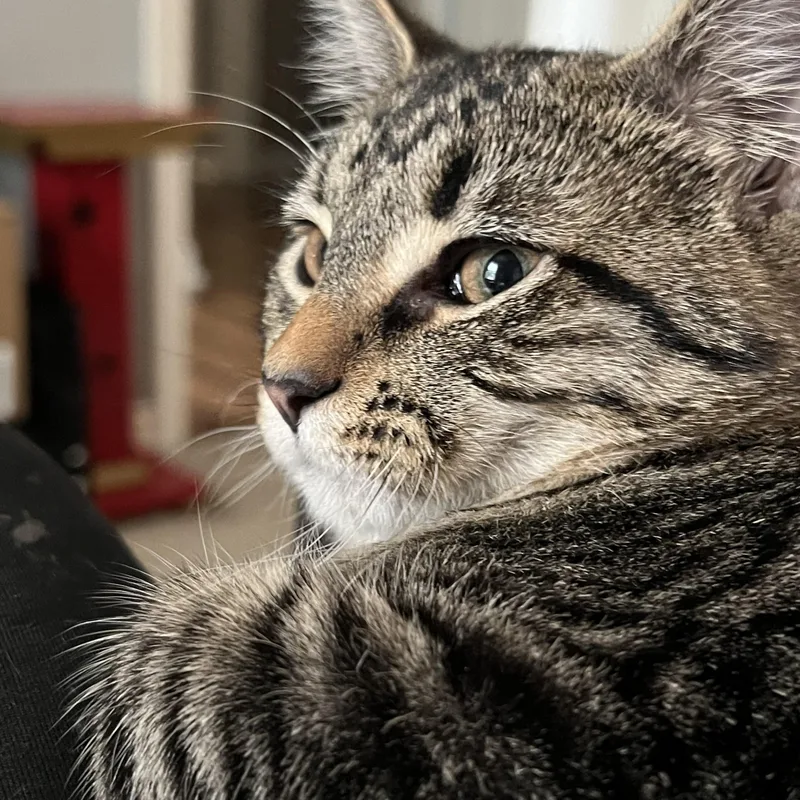 Luke And Emily thumbnail 5