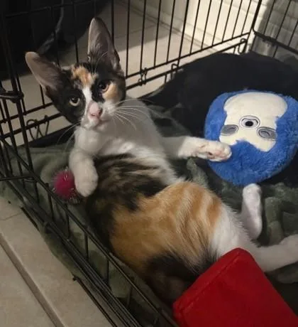 Winnie