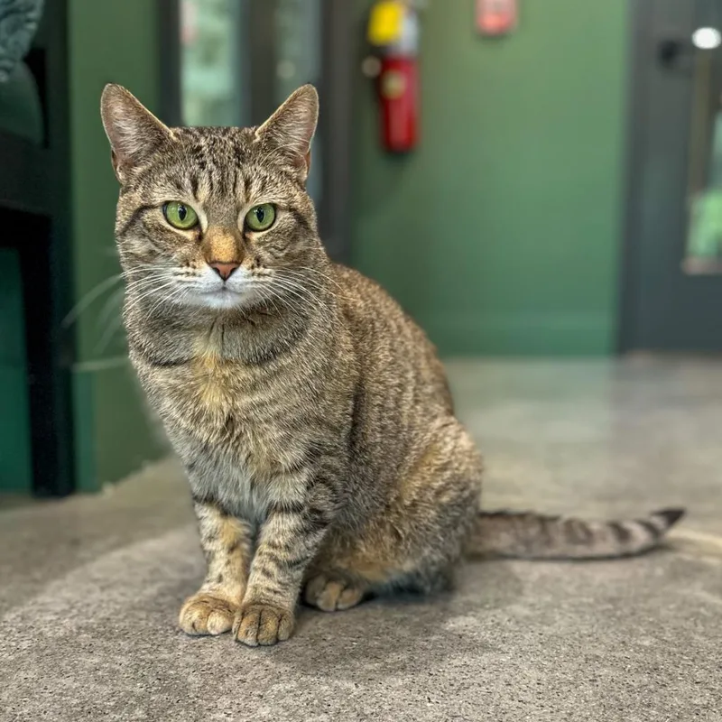 Graciela thumbnail 5