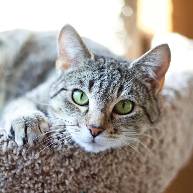 Graciela thumbnail 6