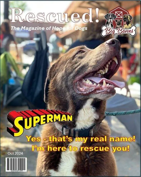 Superman thumbnail 3
