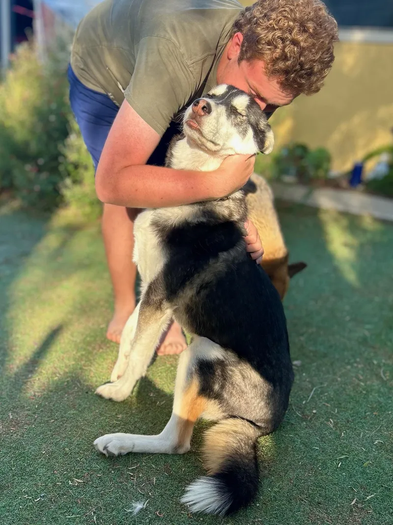 Pepper thumbnail 3