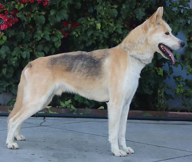 Hennessy Von Ronnenberg" thumbnail 3