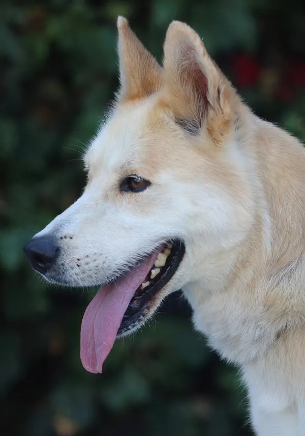 Hennessy Von Ronnenberg" thumbnail 5