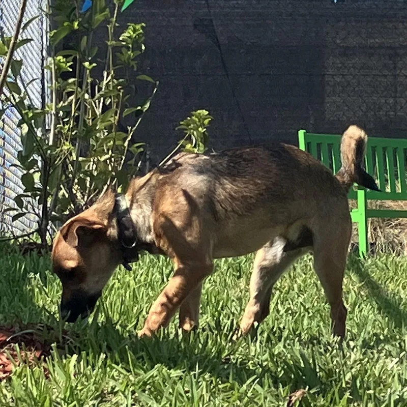 Clearview thumbnail 2