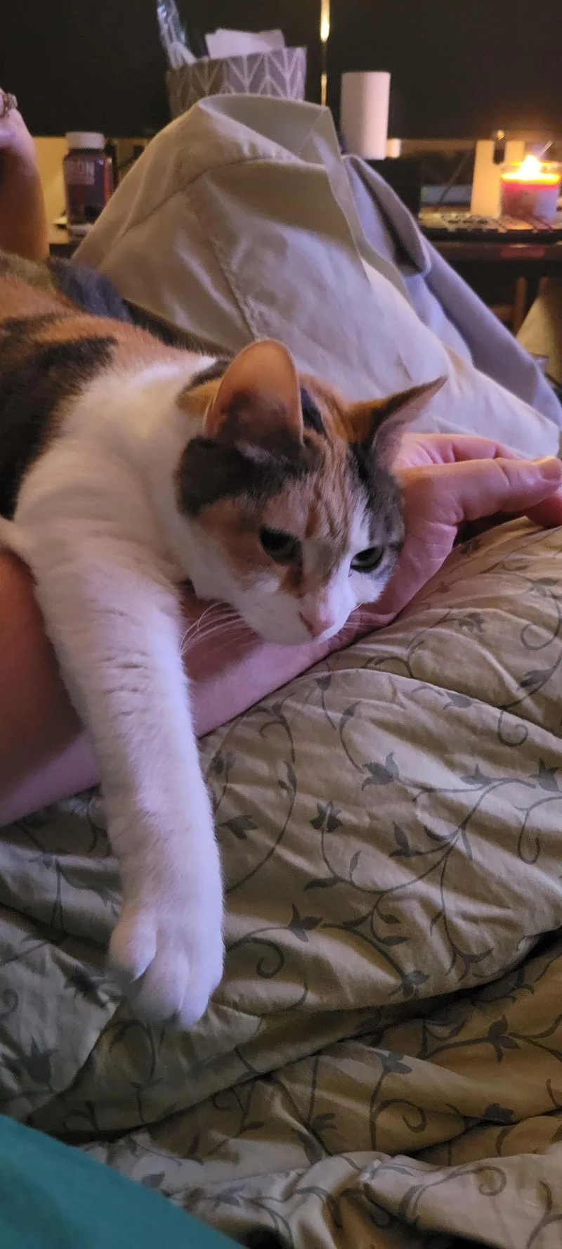 Rose & Angel thumbnail 2