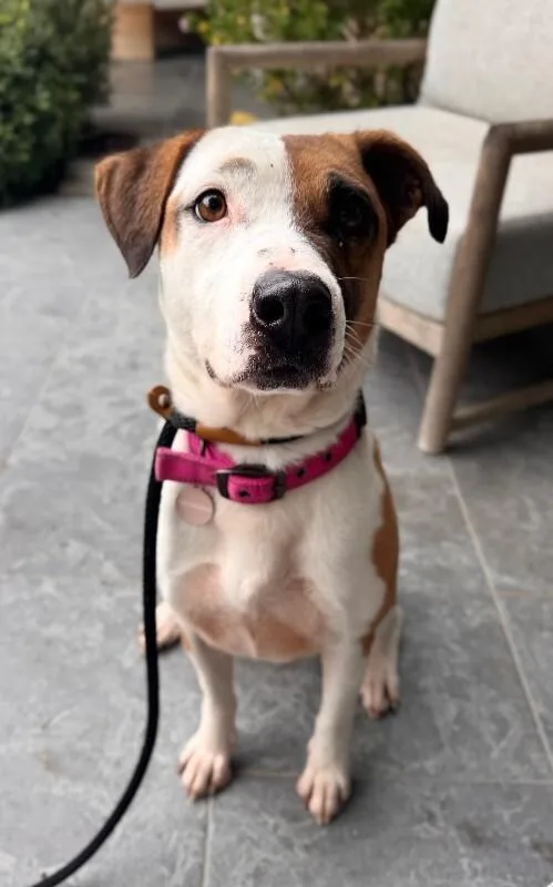 Ladybird thumbnail 3