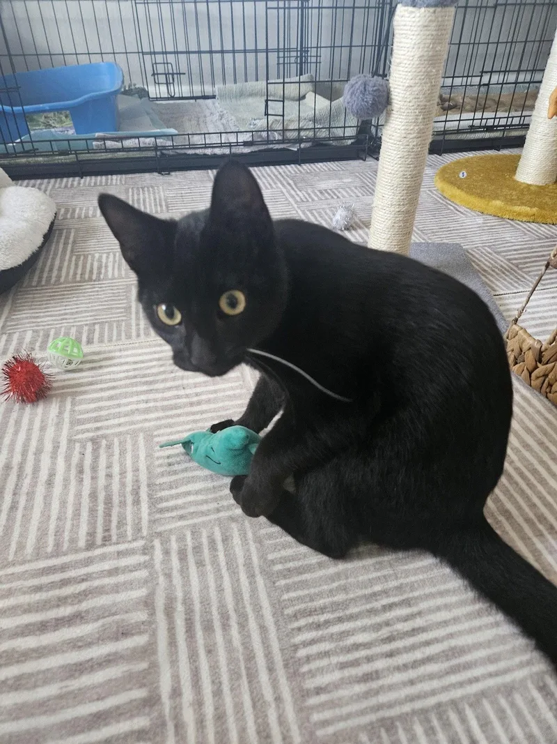 Larry The Lover thumbnail 3