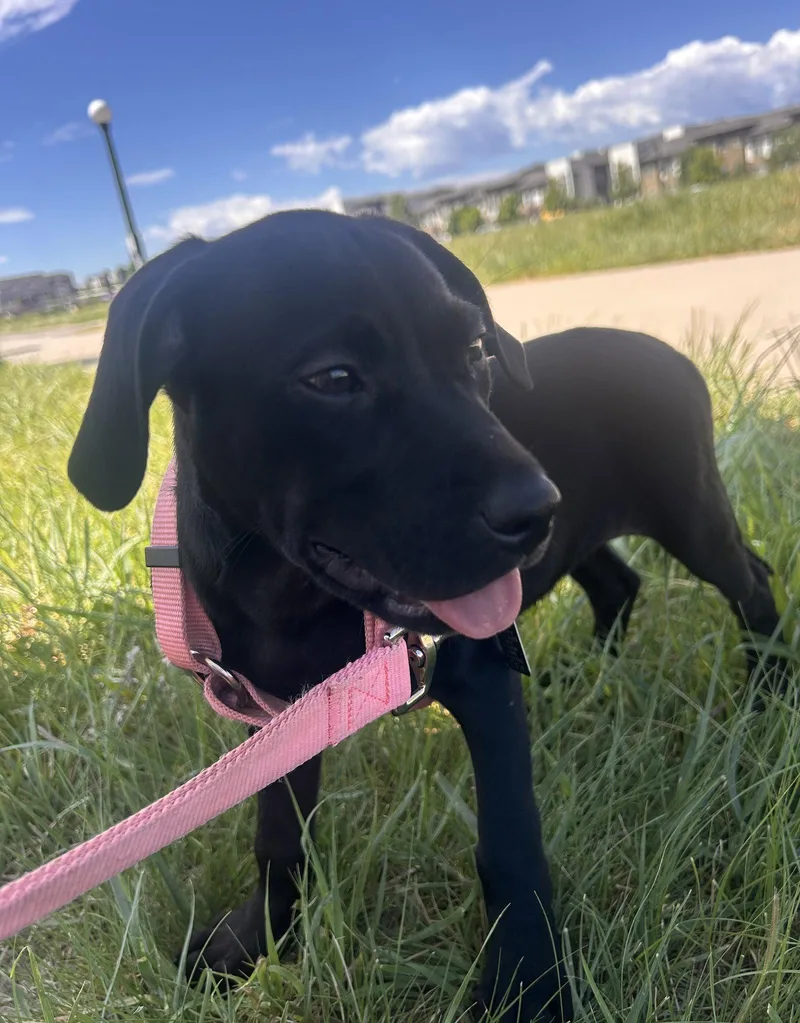 Etta Mae thumbnail 3