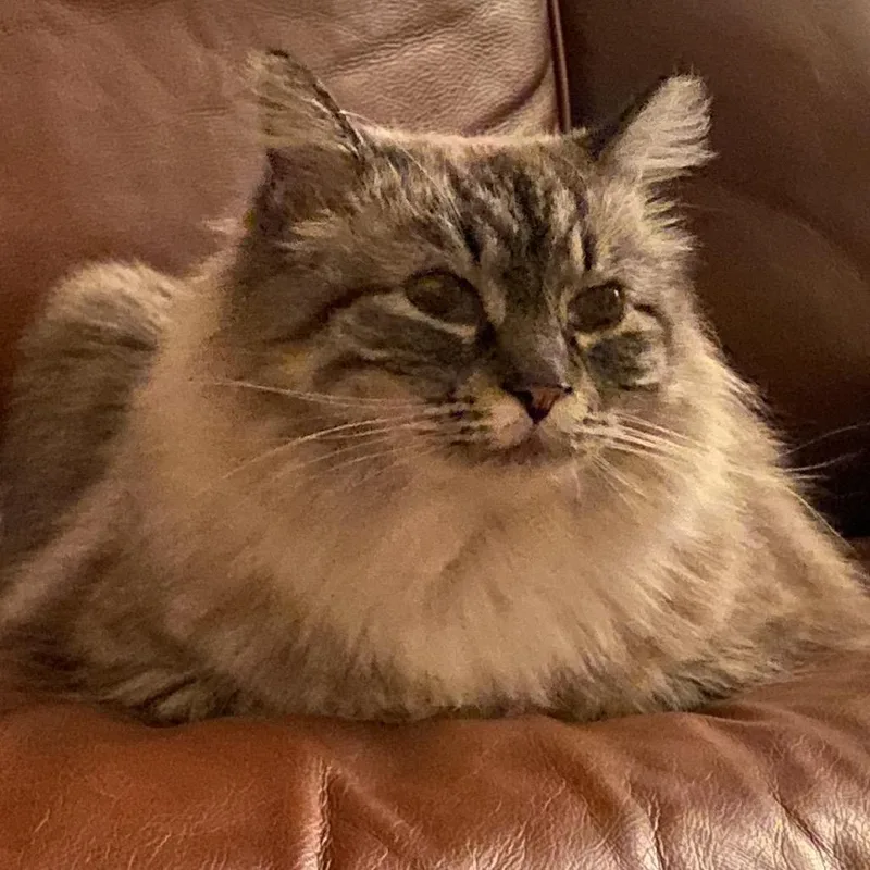 Svetlana thumbnail 3