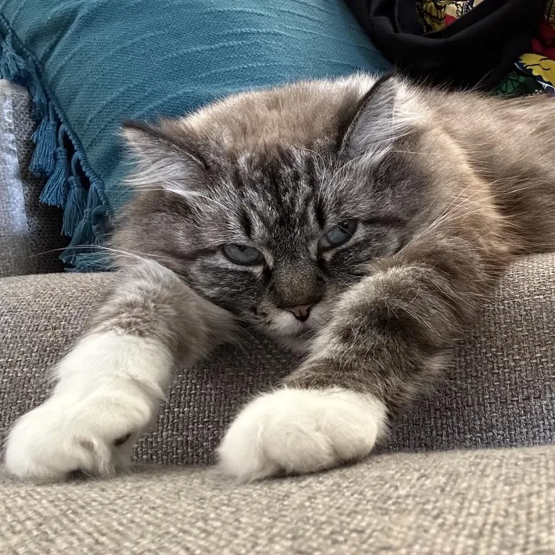 Svetlana thumbnail 4