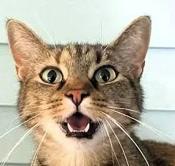 Buttercup & Billy thumbnail 2