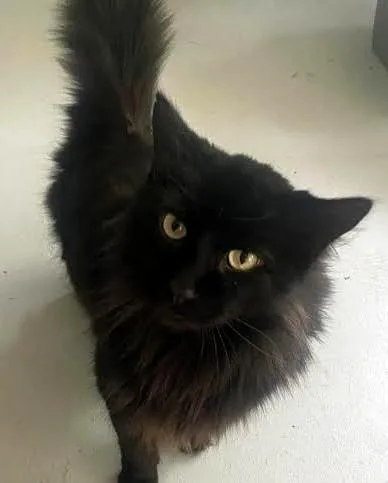 Buttercup & Billy thumbnail 3