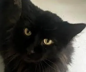 Buttercup & Billy thumbnail 4