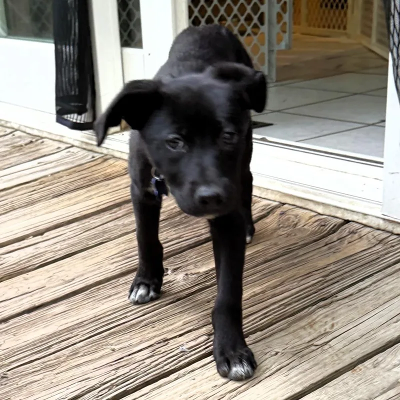 Tallahassee thumbnail 2