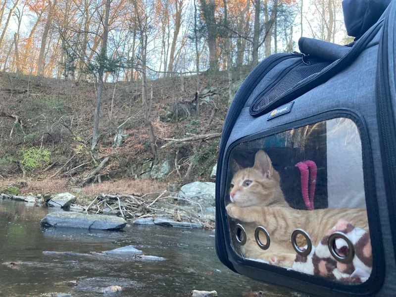 Sunnie Bean thumbnail 5