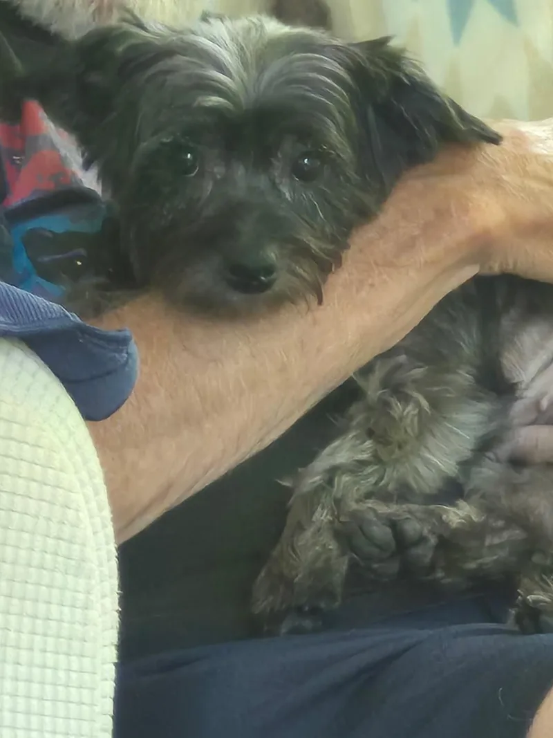 Maddy thumbnail 5