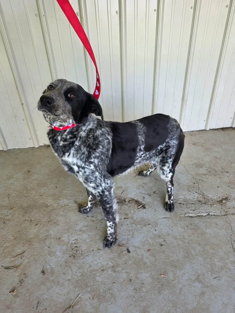 Ellie Mae thumbnail 2