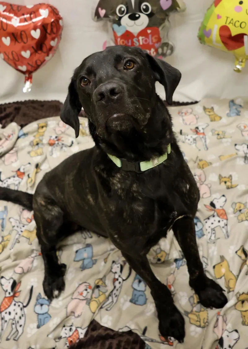 Woodford thumbnail 6