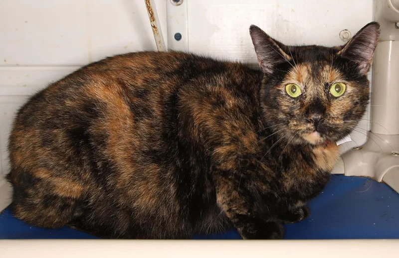 Kelly Center thumbnail 3