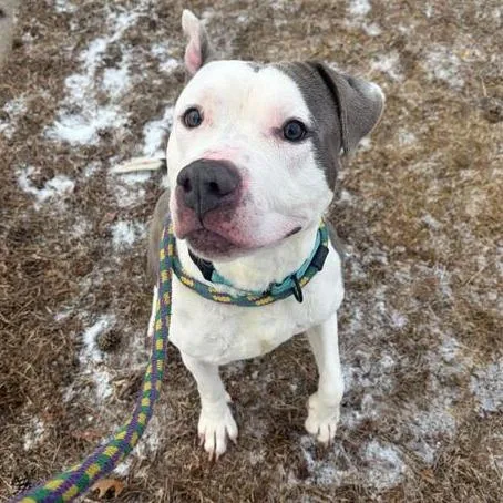 Mama's Boy thumbnail 2