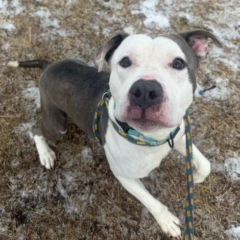 Mama's Boy thumbnail 3