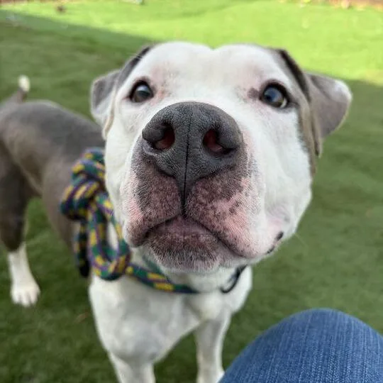 Mama's Boy thumbnail 4