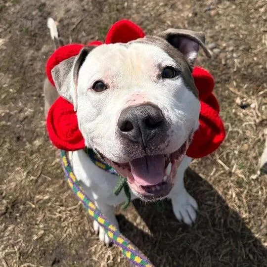 Mama's Boy thumbnail 5