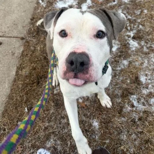 Mama's Boy thumbnail 6