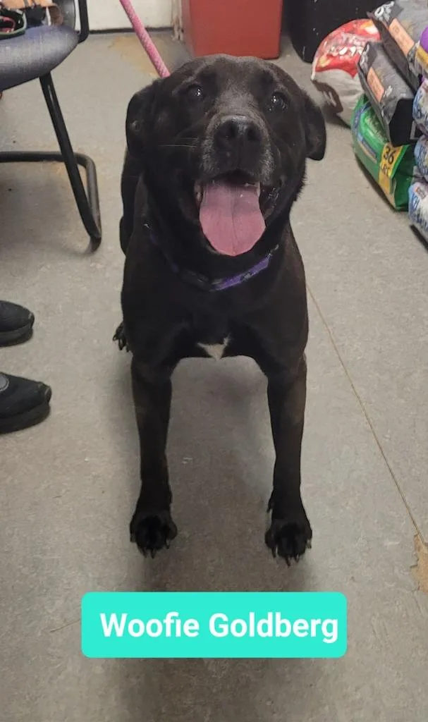 Woofie Goldberg thumbnail 2