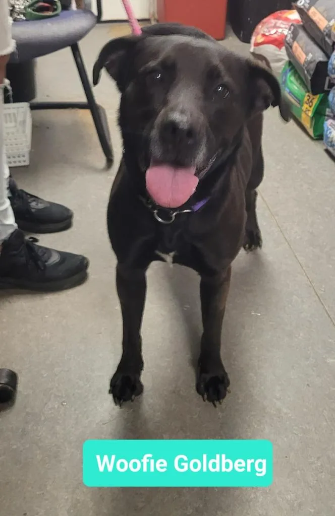 Woofie Goldberg thumbnail 3