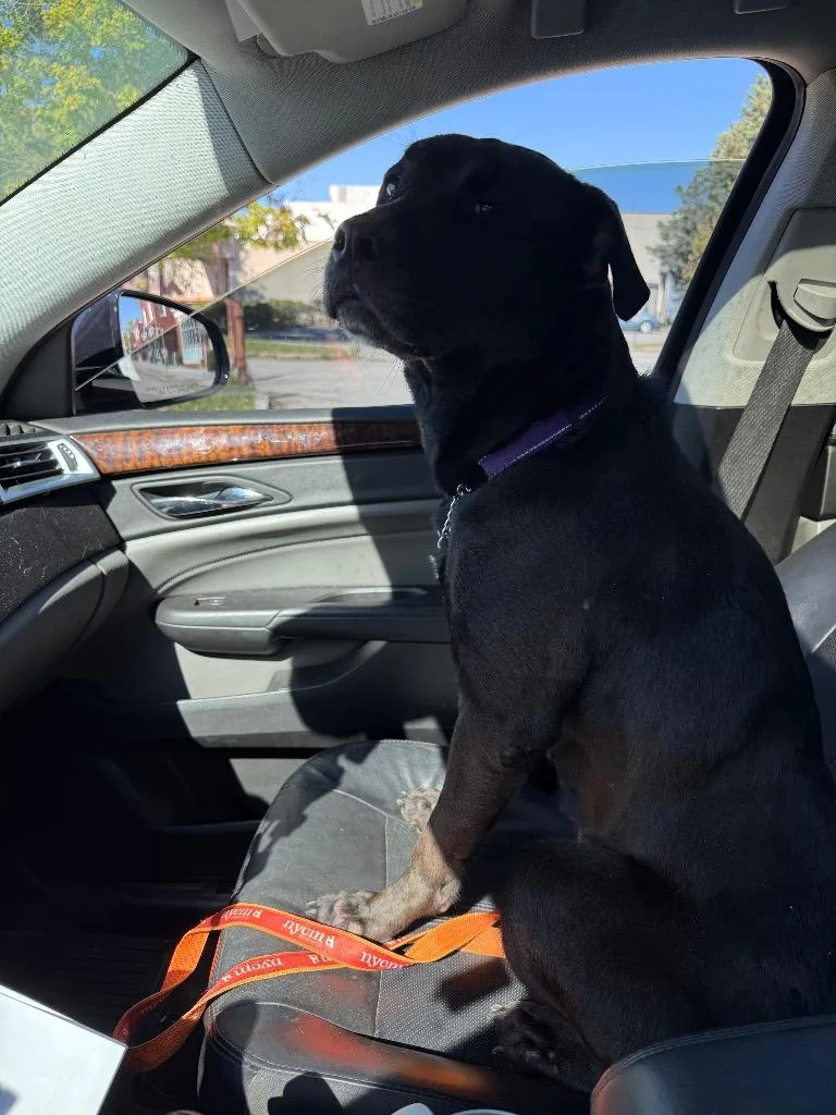 Woofie Goldberg thumbnail 4