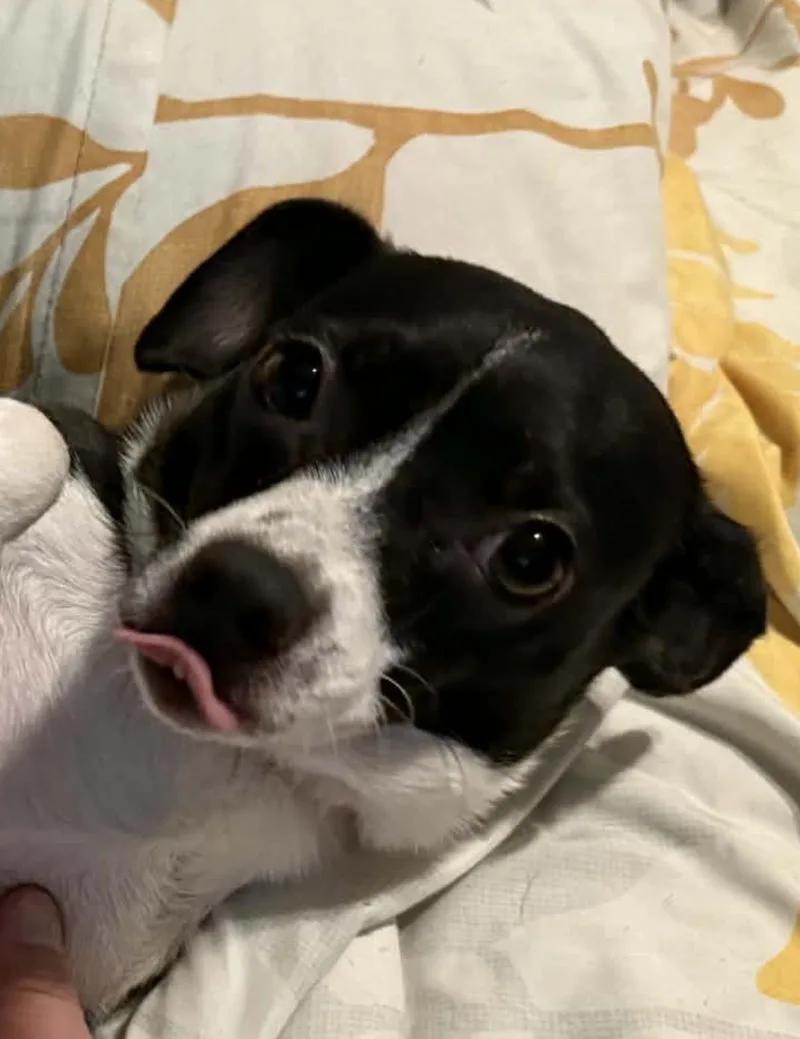 Madeline thumbnail 2