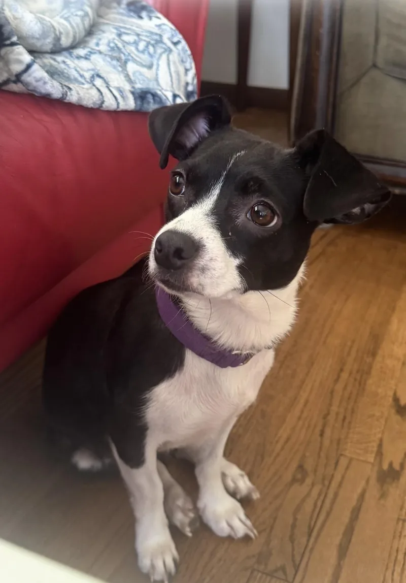 Madeline thumbnail 3