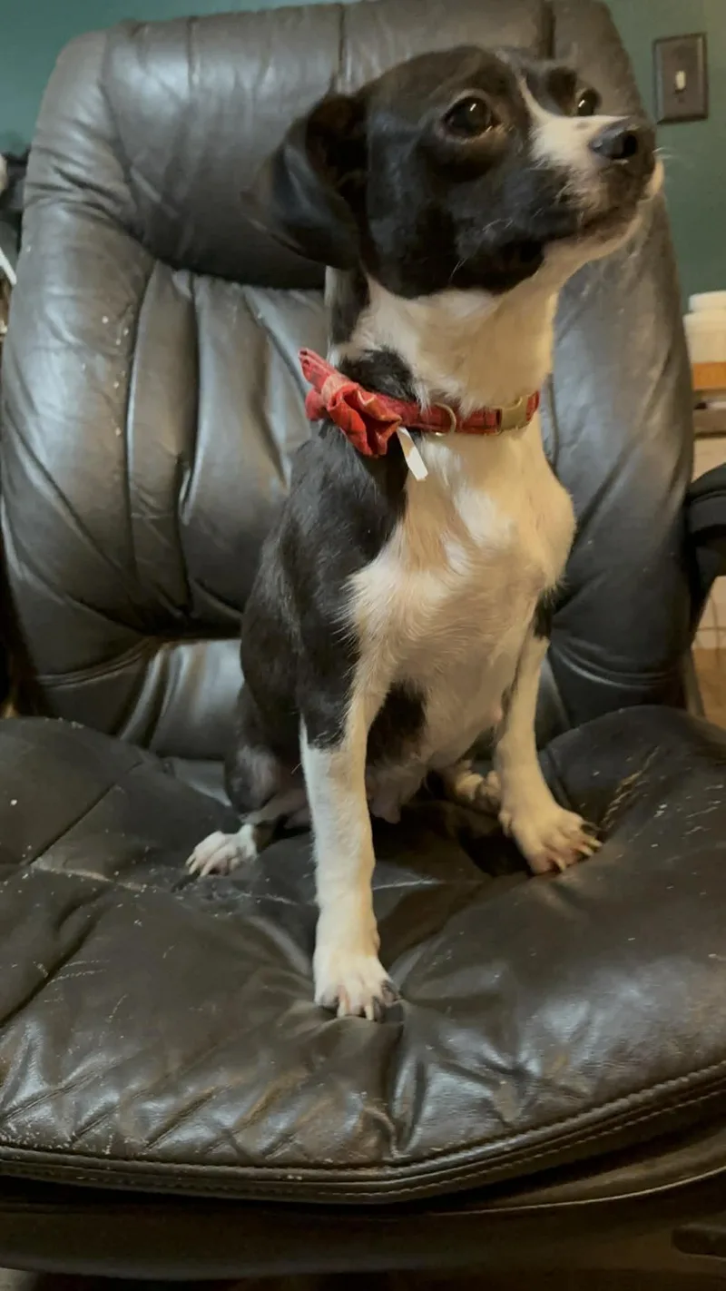 Madeline thumbnail 4