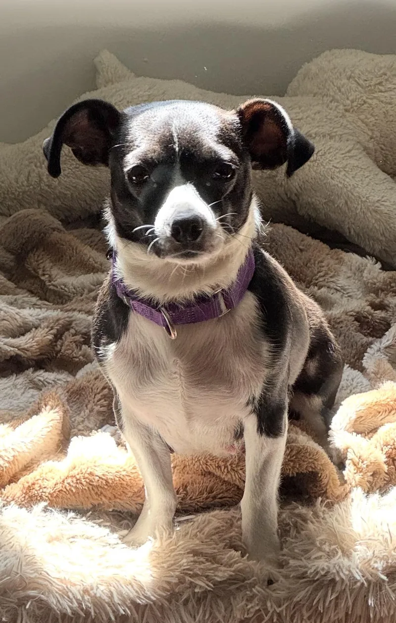 Madeline thumbnail 5