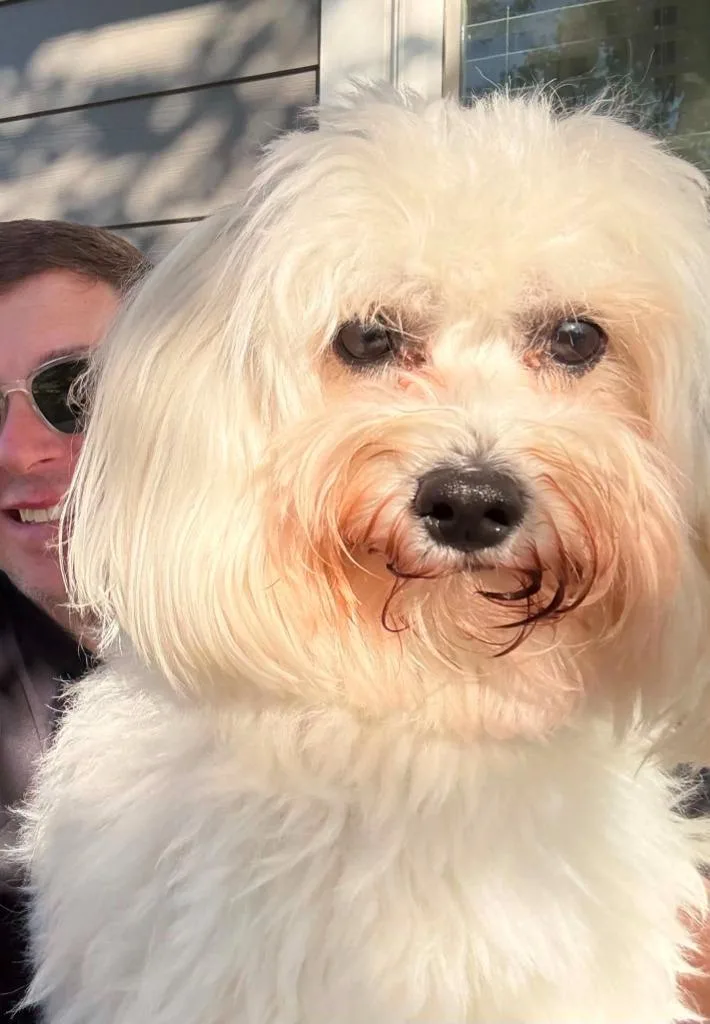 Baxter thumbnail 2