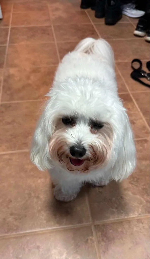 Baxter thumbnail 3