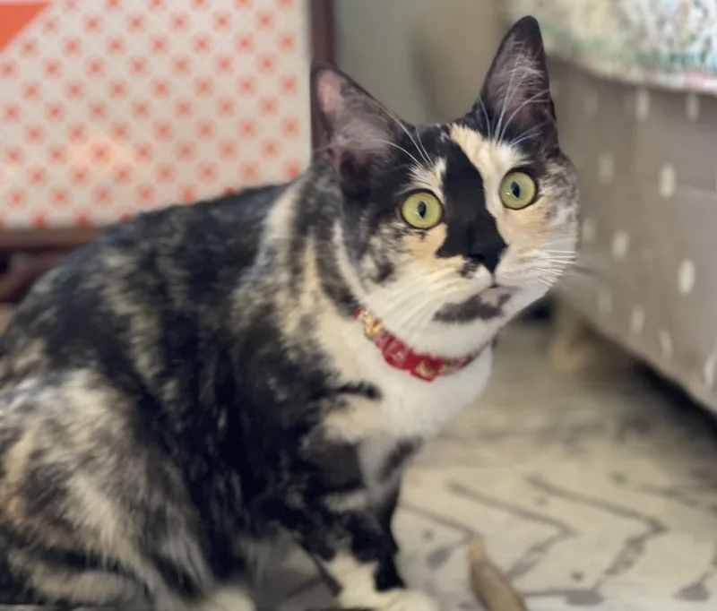 Happy Hour thumbnail 2