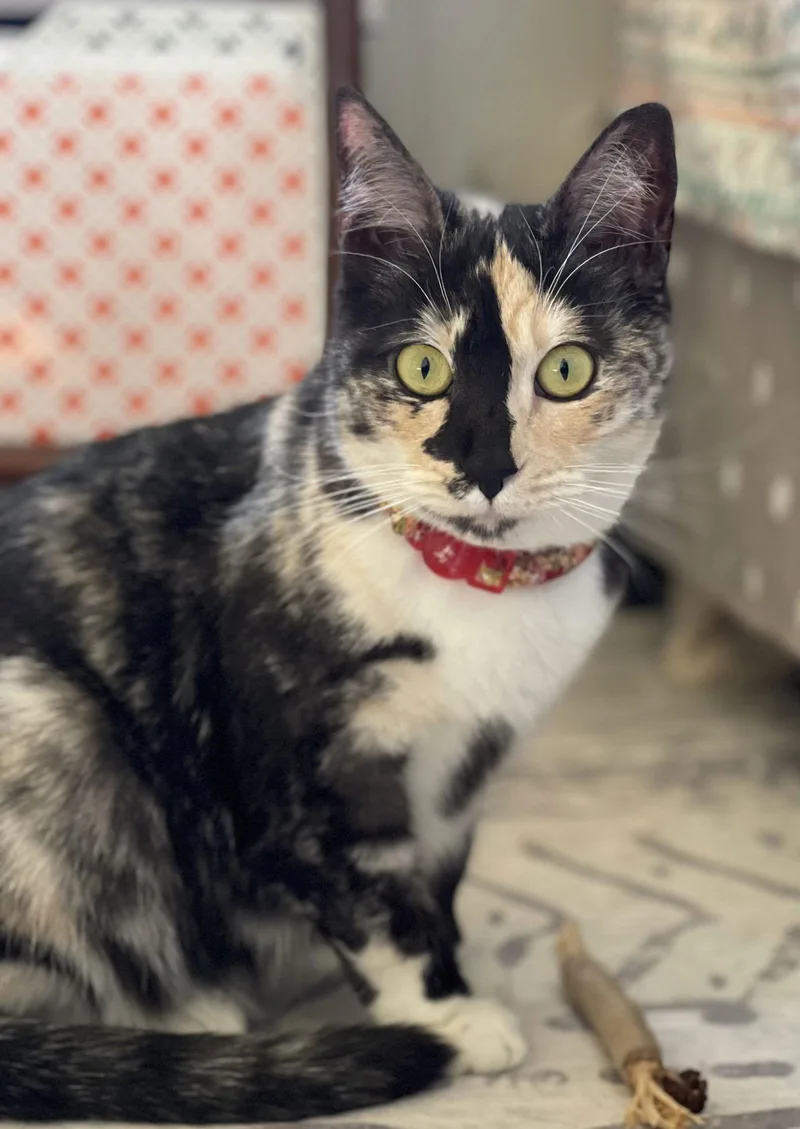 Happy Hour thumbnail 3