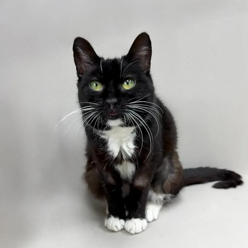 Svetlana thumbnail 2