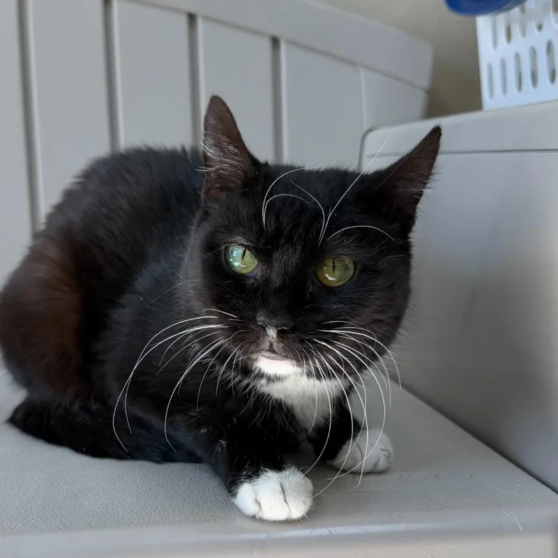 Svetlana thumbnail 3