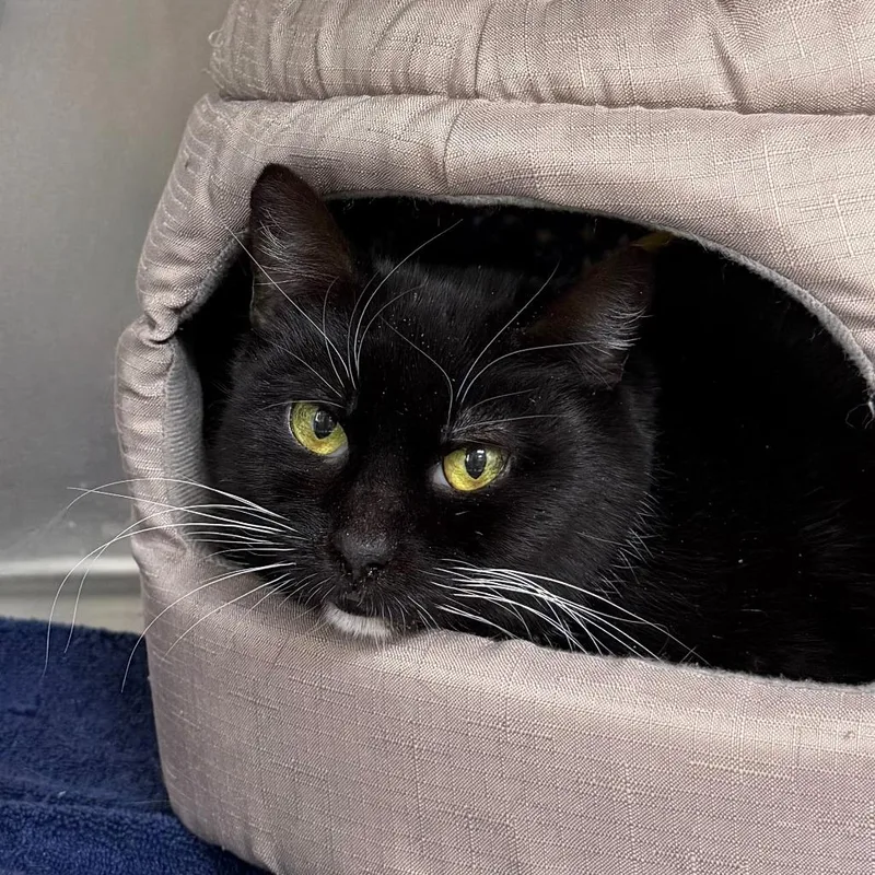 Svetlana thumbnail 4