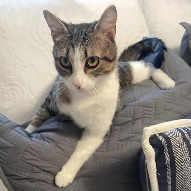 Miss May W. thumbnail 2