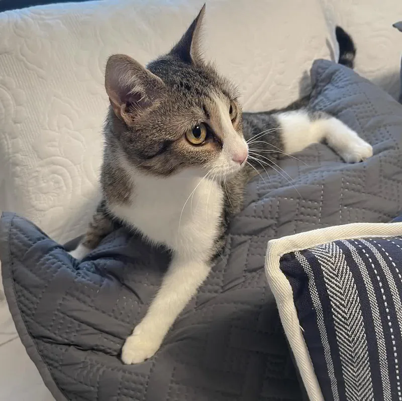 Miss May W. thumbnail 3