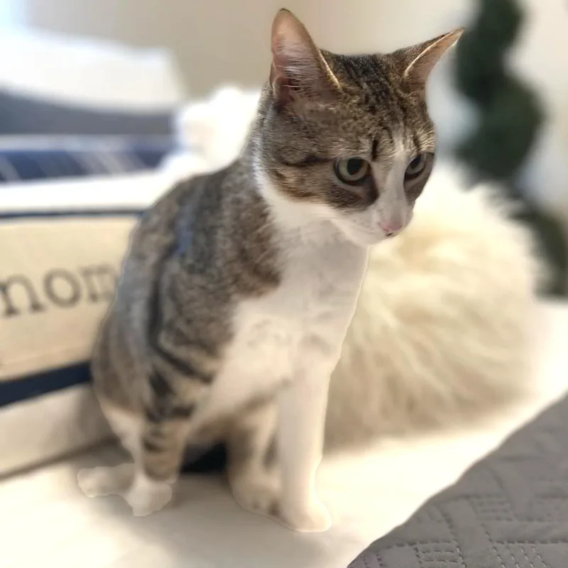 Miss May W. thumbnail 5